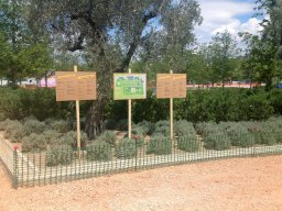 Wooden outdoor signs